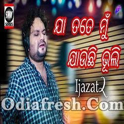 Jaa Tate Mun Aajithu Jauchi Bhuli - Odia Sad Song By Humane Sagar